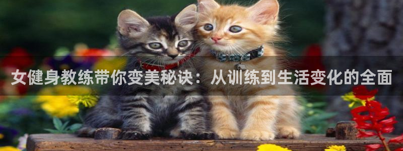 意昂2代理
