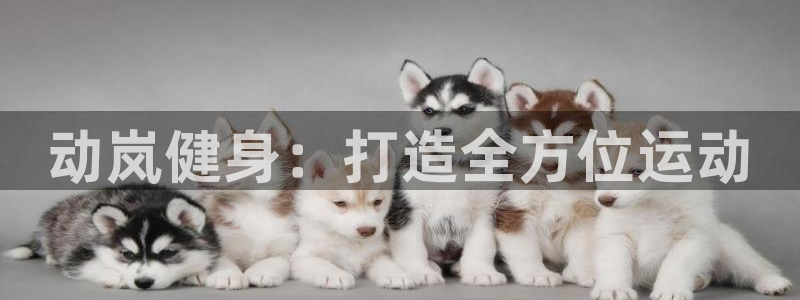 意昂2招商