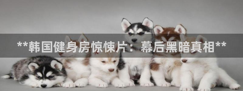 意昂2登录