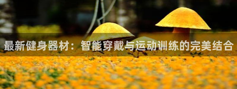 意昂2平台